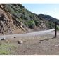 0 Little Sycamore Canyon Rd, Malibu, CA 90265 ID:1867329