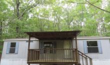 317 Forest Trail Clarkesville, GA 30523