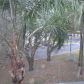 6751 UNIVERSITY DR, Fort Lauderdale, FL 33321 ID:354231