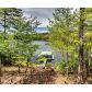 1287 Fish Hook Point, Blue Ridge, GA 30513 ID:8269842