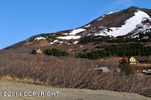 L1 B4 Snow Bear Drive, Anchorage, AK 99516