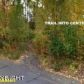 21252 W Susitna Parkway, Big Lake, AK 99652 ID:7946968