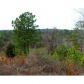 0 Bethel Road, Talking Rock, GA 30175 ID:7808376