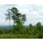 0 Bethel Road, Talking Rock, GA 30175 ID:7808379