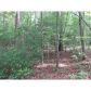 3 Wildwood Parkway, Dahlonega, GA 30533 ID:2459265