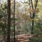 3 Dills Road, Blairsville, GA 30512 ID:8092865