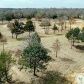 6 Colton Lane, Pilot Point, TX 76258 ID:8330312