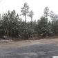 WILLOW LN LOT 1, Vincent, AL 35178 ID:8165909