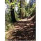 31352 State Highway 49, Nevada City, CA 95959 ID:1145649