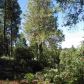 13449 Wintergate Ln, Nevada City, CA 95959 ID:1146306