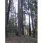 12280 Willow Creek Ln, Nevada City, CA 95959 ID:1146247