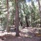 13348 Woodzy Place, Nevada City, CA 95959 ID:1145872