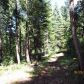 13348 Woodzy Place, Nevada City, CA 95959 ID:1145873