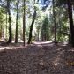 13348 Woodzy Place, Nevada City, CA 95959 ID:1145874