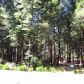 13348 Woodzy Place, Nevada City, CA 95959 ID:1145877