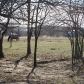 954 Stonecrest Road, Argyle, TX 76226 ID:8326592