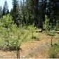 12309 Casci Road, Nevada City, CA 95959 ID:1145594