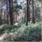 16006 Airport Road, Nevada City, CA 95959 ID:1145920