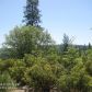 18733 Jackass Flats, Nevada City, CA 95959 ID:1146034