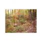 24 Forrest Hills Road, Dahlonega, GA 30533 ID:5567409