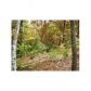 24 Forrest Hills Road, Dahlonega, GA 30533 ID:5567410