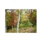 24 Forrest Hills Road, Dahlonega, GA 30533 ID:5567412