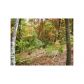 24 Forrest Hills Road, Dahlonega, GA 30533 ID:4328174