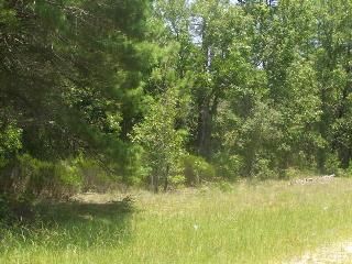 0 4th Way (Lot 43), Interlachen, FL 32148