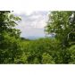 790 Old Burnt Mtn Road, Ellijay, GA 30536 ID:8342175