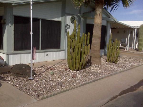 1178 E. Delta Pine Ave, , AZ 85122