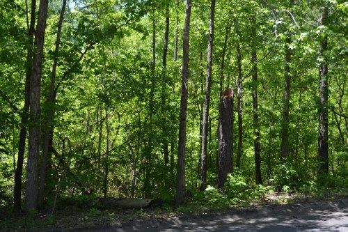 Lot 10 & 11 Dobbs Road, Alexander City, AL 35010