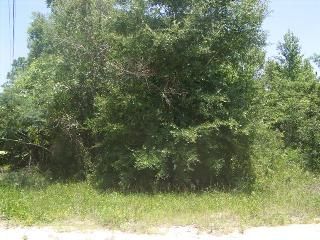 0 4th Way (Lot 41), Interlachen, FL 32148