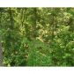 153 Scarlet Oak Lane, Dawsonville, GA 30534 ID:8042228