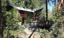 9430 Spring Drive Forest Falls, CA 92339