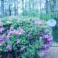 537 Cutwater Trail, Atlanta, GA 30328 ID:7837912