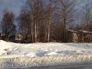 L12 B1 Cordell Circle, Anchorage, AK 99502