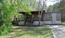 427 Wagon Trail Cir Dallas, GA 30132