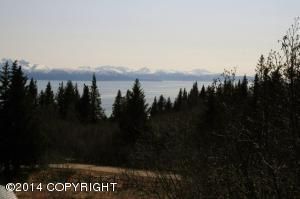 580 Fireweed Avenue, Homer, AK 99603