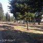 5620 Felix Circle, Homer, AK 99603 ID:8365007