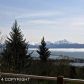 430 Paintbrush Court, Homer, AK 99603 ID:8410026