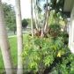 9361 NW 16TH ST, Fort Lauderdale, FL 33322 ID:7996633