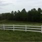 160 Kudzu Hill Drive, Cornelia, GA 30531 ID:8428021