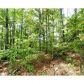 0 Burnt Mountain Road, Dawsonville, GA 30534 ID:7826371