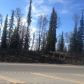 Mile 92.8 Sterling Highway, Soldotna, AK 99669 ID:8203320