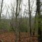 17 Turtle Ridge, Ellijay, GA 30540 ID:6865080