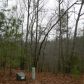 17 Turtle Ridge, Ellijay, GA 30540 ID:6865085