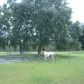 272 Baden Powell Rd, Hawthorne, FL 32640 ID:4033382