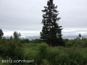 54495 Rolling Meadows Road, Homer, AK 99603