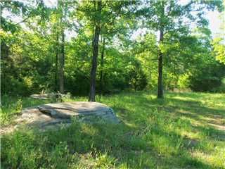 42 W. D. Harvey Road, Falkville, AL 35622