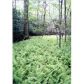 24 Tanager Trail, Ellijay, GA 30536 ID:8355167